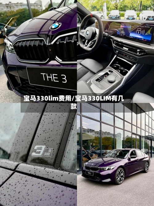宝马330lim费用/宝马330LIM有几款