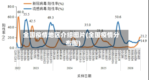 全国疫情地区介绍图片(全国疫情分布图)-第3张图片