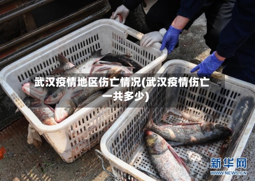 武汉疫情地区伤亡情况(武汉疫情伤亡一共多少)