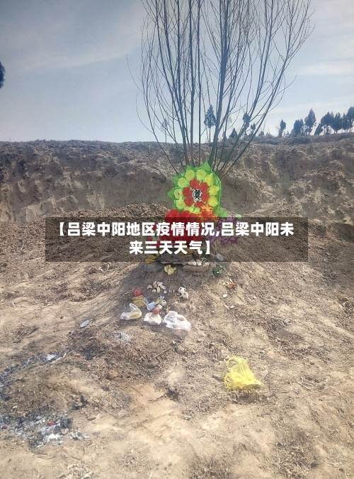 【吕梁中阳地区疫情情况,吕梁中阳未来三天天气】-第3张图片