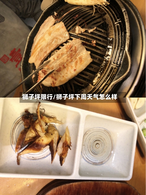 狮子坪限行/狮子坪下周天气怎么样-第3张图片