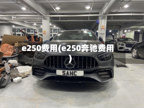 e250费用(e250奔驰费用)-第3张图片