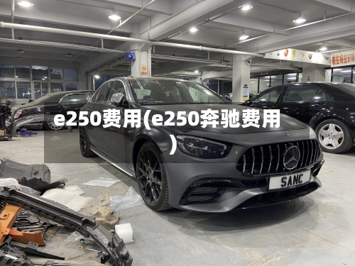e250费用(e250奔驰费用)-第2张图片