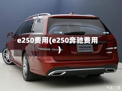 e250费用(e250奔驰费用)
