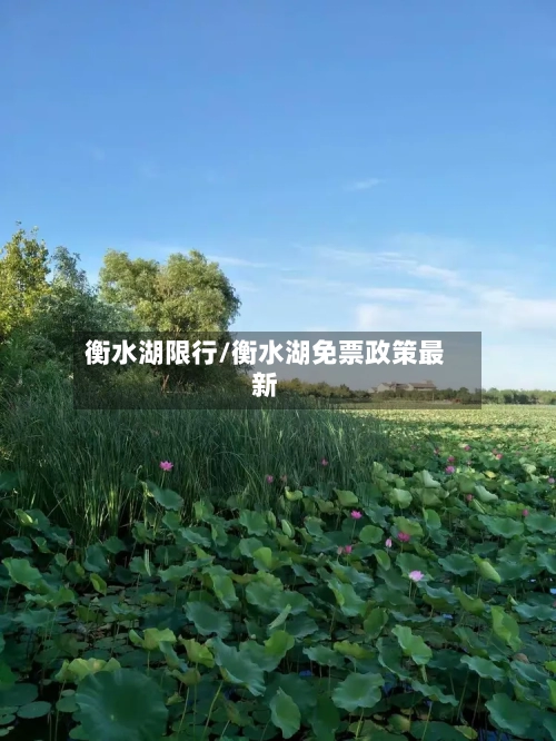 衡水湖限行/衡水湖免票政策最新-第2张图片