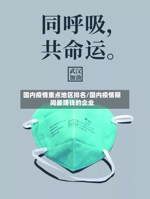 国内疫情重点地区排名/国内疫情期间最赚钱的企业