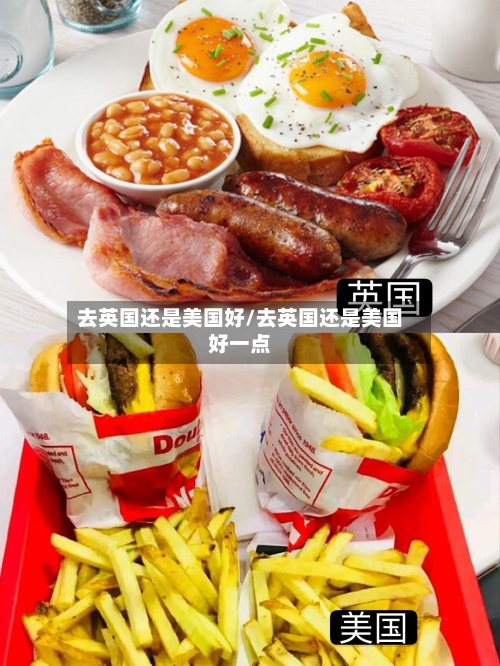 去英国还是美国好/去英国还是美国好一点
