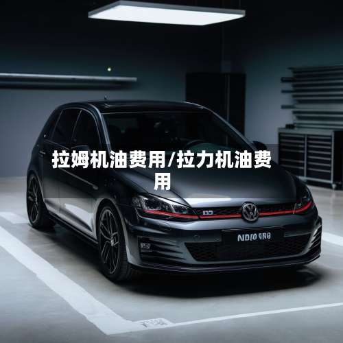 拉姆机油费用/拉力机油费用