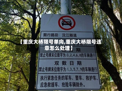 【重庆大桥限号单向,重庆大桥限号违章怎么处理】-第2张图片