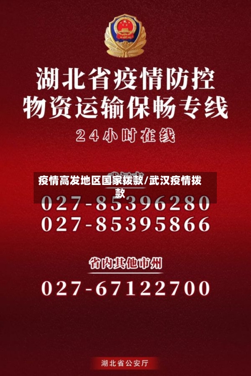 疫情高发地区国家拨款/武汉疫情拨款