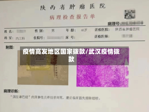 疫情高发地区国家拨款/武汉疫情拨款-第2张图片