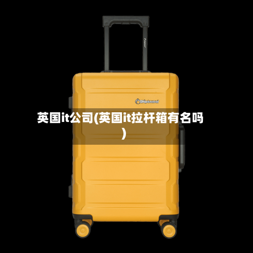英国it公司(英国it拉杆箱有名吗)