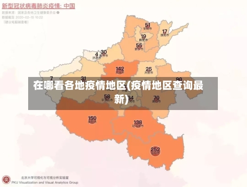 在哪看各地疫情地区(疫情地区查询最新)