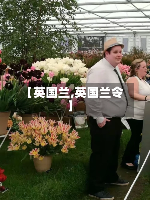 【英国兰,英国兰令】