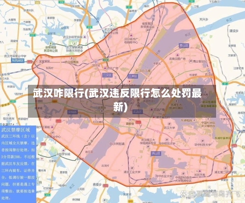 武汉咋限行(武汉违反限行怎么处罚最新)