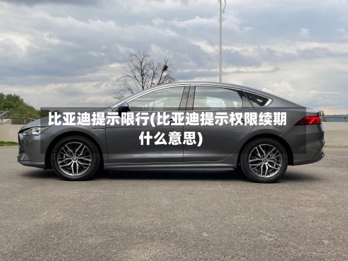 比亚迪提示限行(比亚迪提示权限续期什么意思)-第2张图片