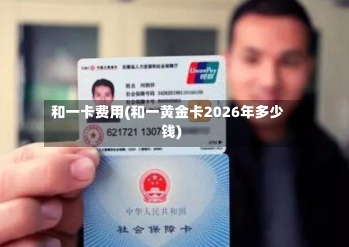 和一卡费用(和一黄金卡2026年多少钱)-第3张图片