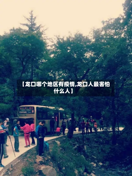 【龙口哪个地区有疫情,龙口人最害怕什么人】-第2张图片