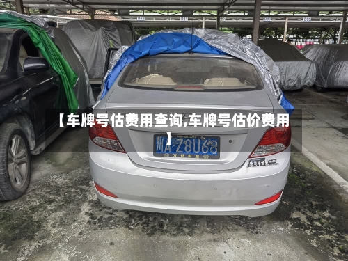 【车牌号估费用查询,车牌号估价费用】