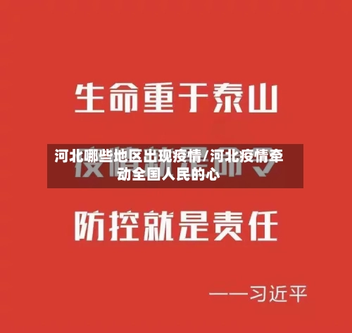 河北哪些地区出现疫情/河北疫情牵动全国人民的心-第3张图片