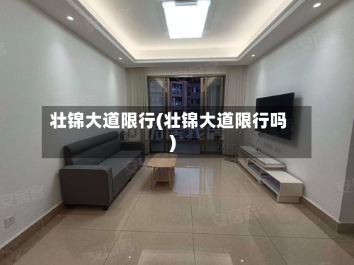 壮锦大道限行(壮锦大道限行吗)