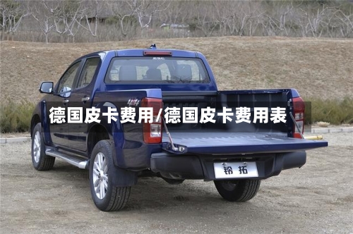 德国皮卡费用/德国皮卡费用表