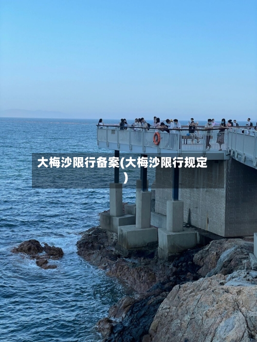 大梅沙限行备案(大梅沙限行规定)-第2张图片