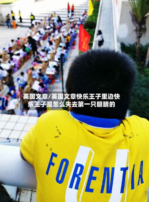 英国文章/英国文章快乐王子里边快乐王子是怎么失去第一只眼睛的-第2张图片