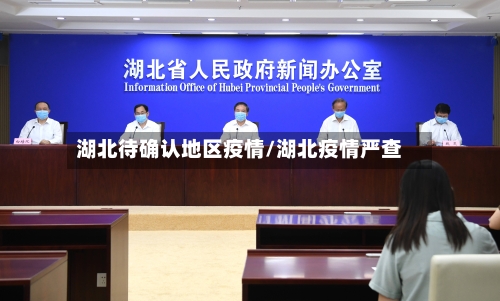 湖北待确认地区疫情/湖北疫情严查
