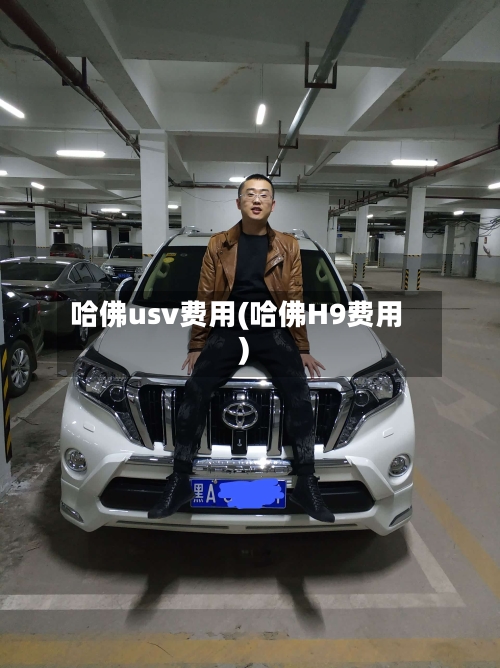 哈佛usv费用(哈佛H9费用)