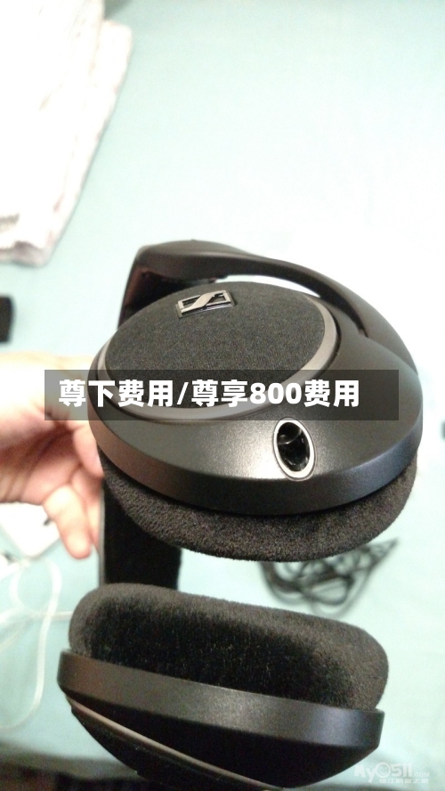 尊下费用/尊享800费用