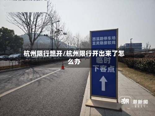 杭州限行想开/杭州限行开出来了怎么办-第2张图片
