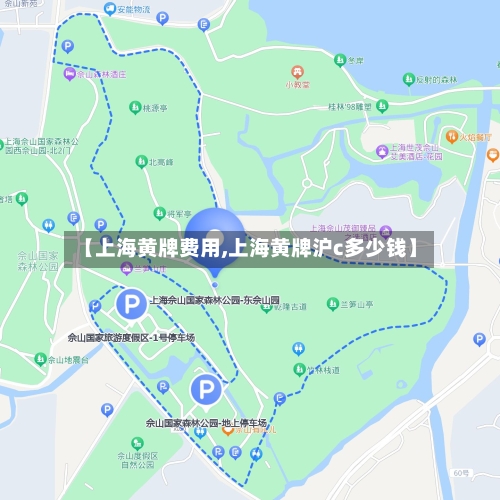 【上海黄牌费用,上海黄牌沪c多少钱】-第3张图片
