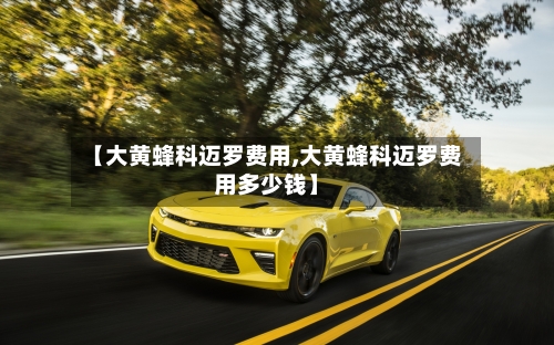 【大黄蜂科迈罗费用,大黄蜂科迈罗费用多少钱】
