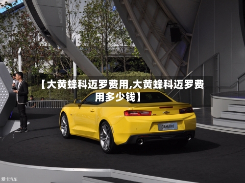 【大黄蜂科迈罗费用,大黄蜂科迈罗费用多少钱】-第3张图片