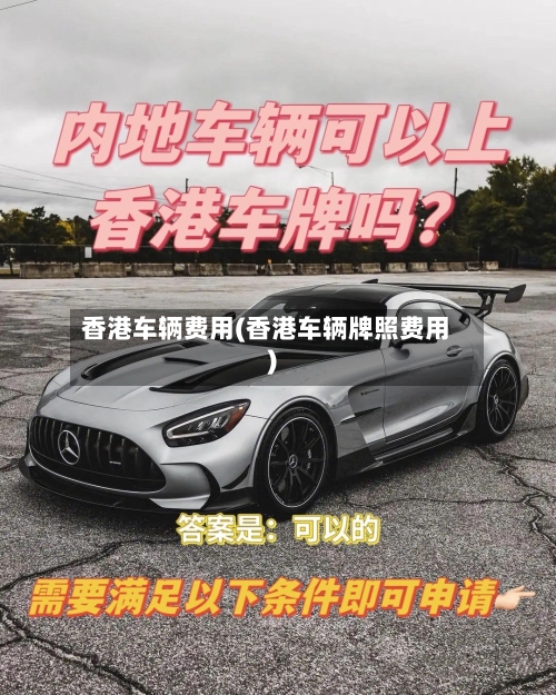 香港车辆费用(香港车辆牌照费用)