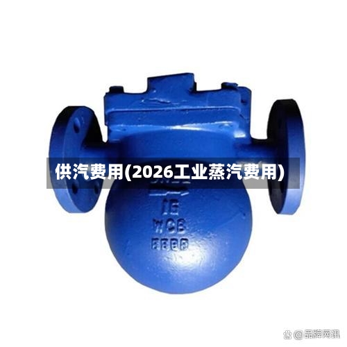 供汽费用(2026工业蒸汽费用)