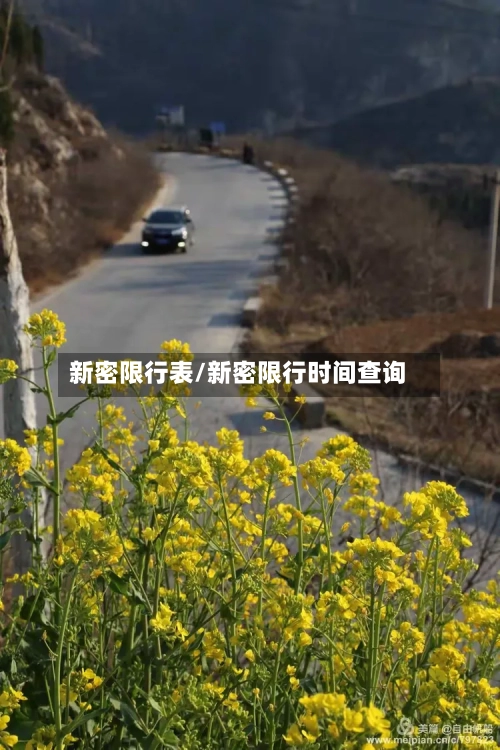 新密限行表/新密限行时间查询