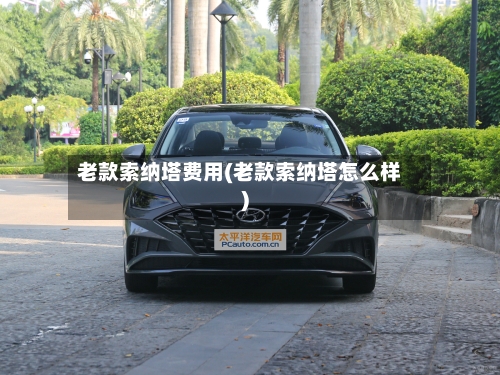 老款索纳塔费用(老款索纳塔怎么样)-第2张图片