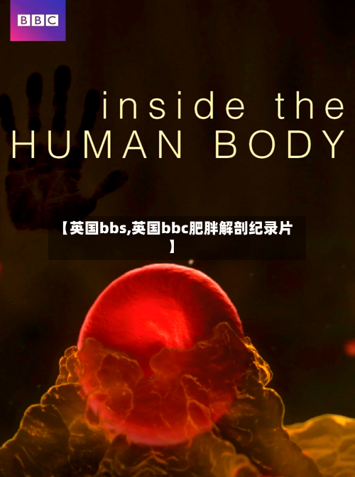 【英国bbs,英国bbc肥胖解剖纪录片】