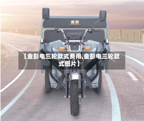 【金彭电三轮款式费用,金彭电三轮款式图片】-第3张图片