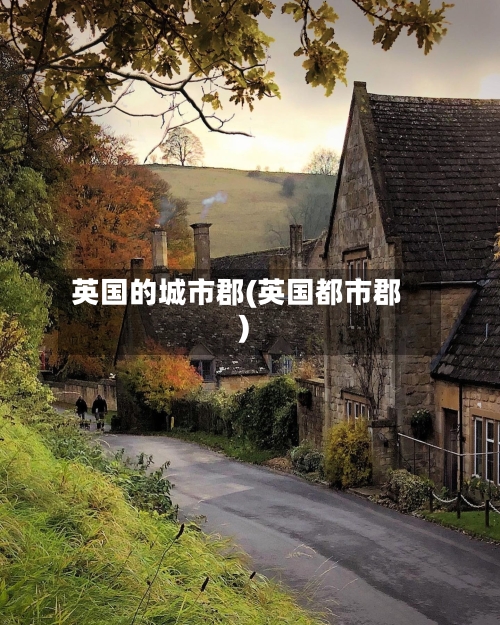 英国的城市郡(英国都市郡)