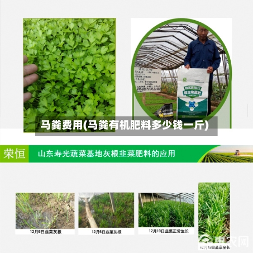马粪费用(马粪有机肥料多少钱一斤)