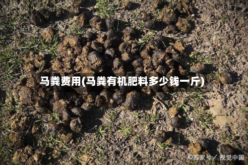 马粪费用(马粪有机肥料多少钱一斤)-第2张图片