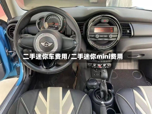 二手迷你车费用/二手迷你mini费用-第3张图片