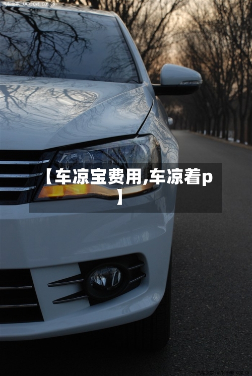 【车凉宝费用,车凉着p】
