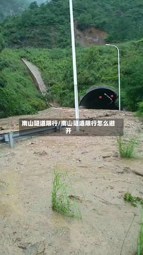 南山隧道限行/南山隧道限行怎么避开-第3张图片