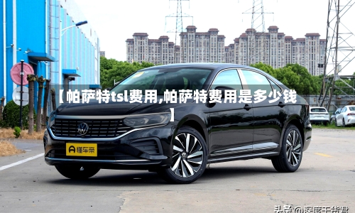 【帕萨特tsl费用,帕萨特费用是多少钱】-第3张图片