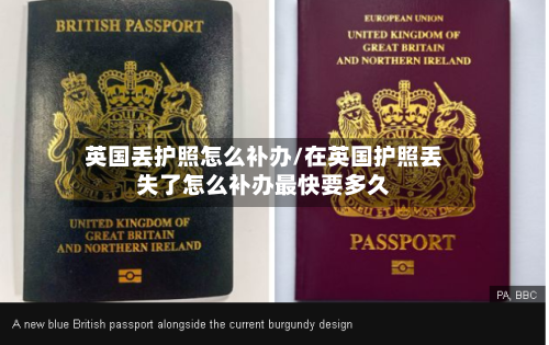 英国丢护照怎么补办/在英国护照丢失了怎么补办最快要多久-第2张图片