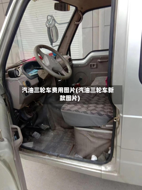 汽油三轮车费用图片(汽油三轮车新款图片)-第2张图片